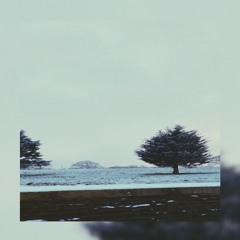 whistling winds