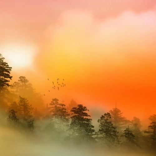 Atmospheringliqwyd good background music FREE DOWNLOAD
