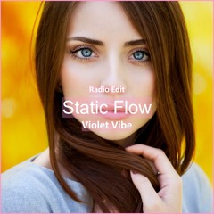 Violet Vibe - Static Flow [ Electro House Music]