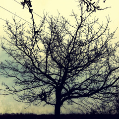 056-Charcoal Tree-2016 4track Demo