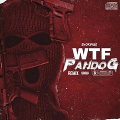 WTF -Evokings  (Pando G Remix) - (Free download)