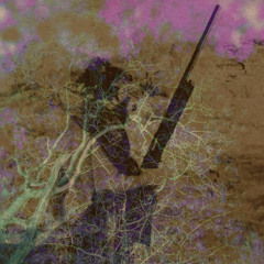 Dignity Palace (Harmony of the Great Lord of Fire Ahura Atar)