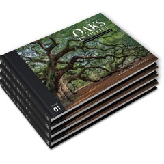 PDF/READ❤  Oaks in Office: Biblical Essays for Political Leaders, Four Volume Se