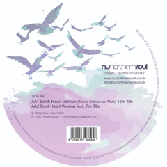 PREMIERE | B.J. Smith - Earth Heart Version (Tamar Osborn on Flute)