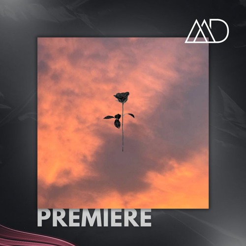 PREMIERE: Patrick Ruprecht - Overthinking Mind (Original Mix) [Black Rose Recordings]