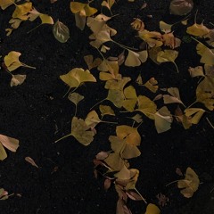 밤산책