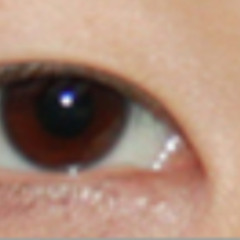 მუსიკა