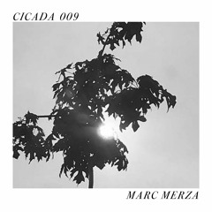 CICADA 009 | MARC MERZA