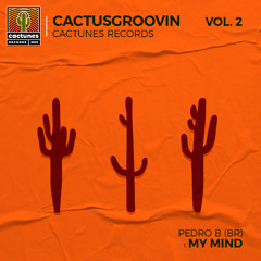 Pedro B (BR) - My Mind
