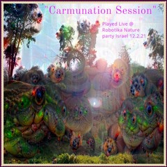 "Carmunation Session" Live mix from Robotika nature 12.2.21