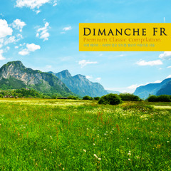 Cello Suite No.2 In D Minor BWV.1008 II. Allemande