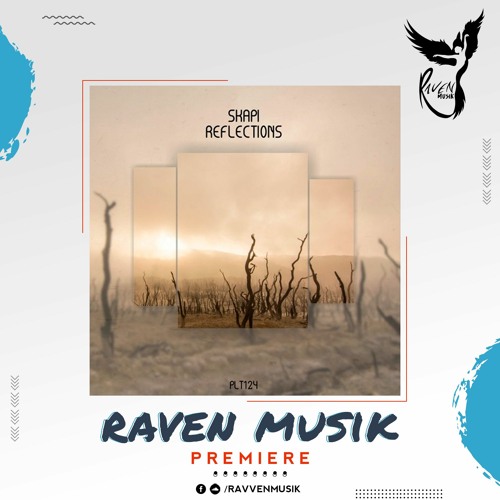 PREMIERE : Skapi - Reflections (Original Mix)[POLYPTYCH]