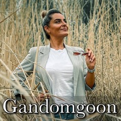 Gandomgoon