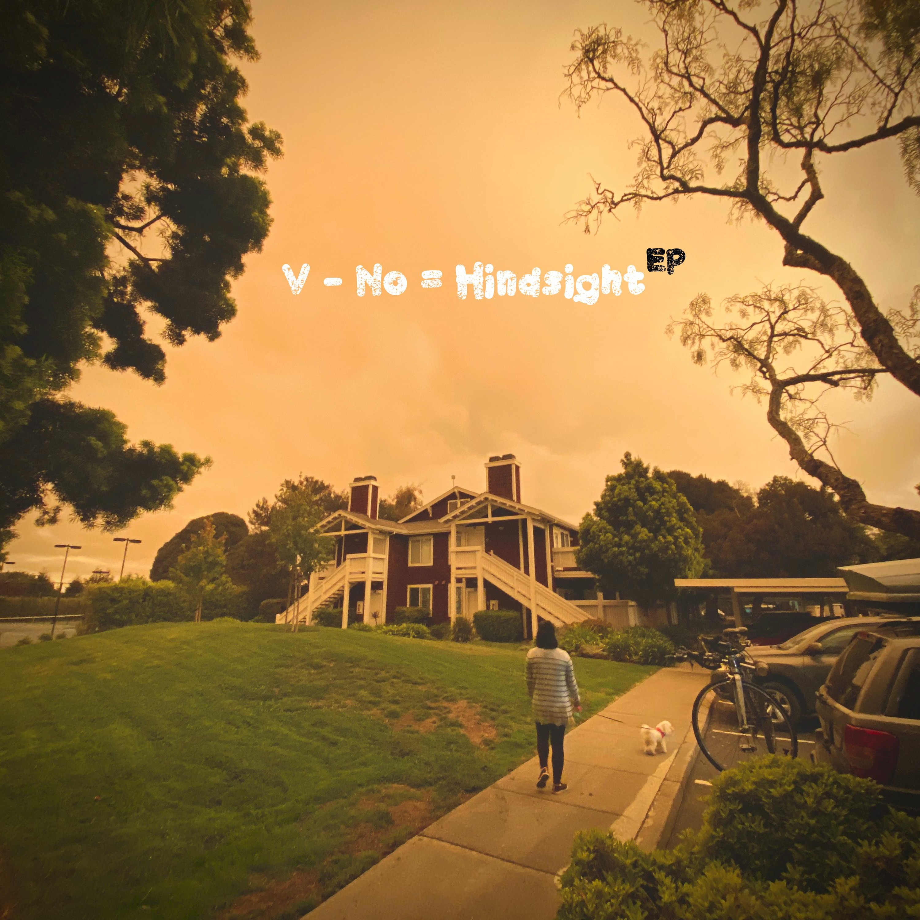 Hindsight Is 2020 episode artwork