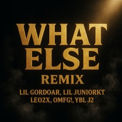 What Else “Remix”