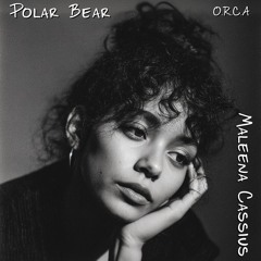 Polar Molar