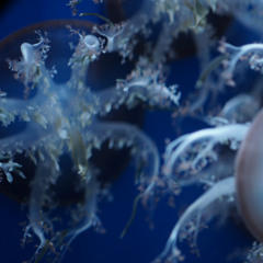 ⑤GameoverSample3 ShortShortVer