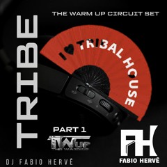 TRIBE THE WARM UP DJ FABIO HERVÊ PART 1 RADIO LIVE BRAZIL