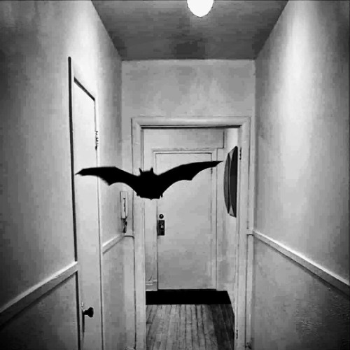 Together Into Nothingness (avec X36)