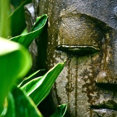 Faceless Not Nameless