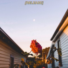 BIG LOVE (remix) (feat. Brother Mikey, Ryan Kynd, Devin Bender, & Dylan Ross)