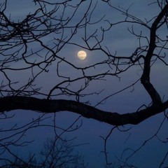 Winter Dream