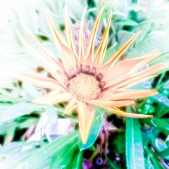 Andrey Psyche - Stable Song