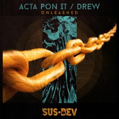 Acta Pon It - PROJECT 30