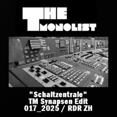"Schaltzentrale" TM Synapsen Edit - 017_2025 - RDR ZH