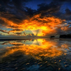 reflections