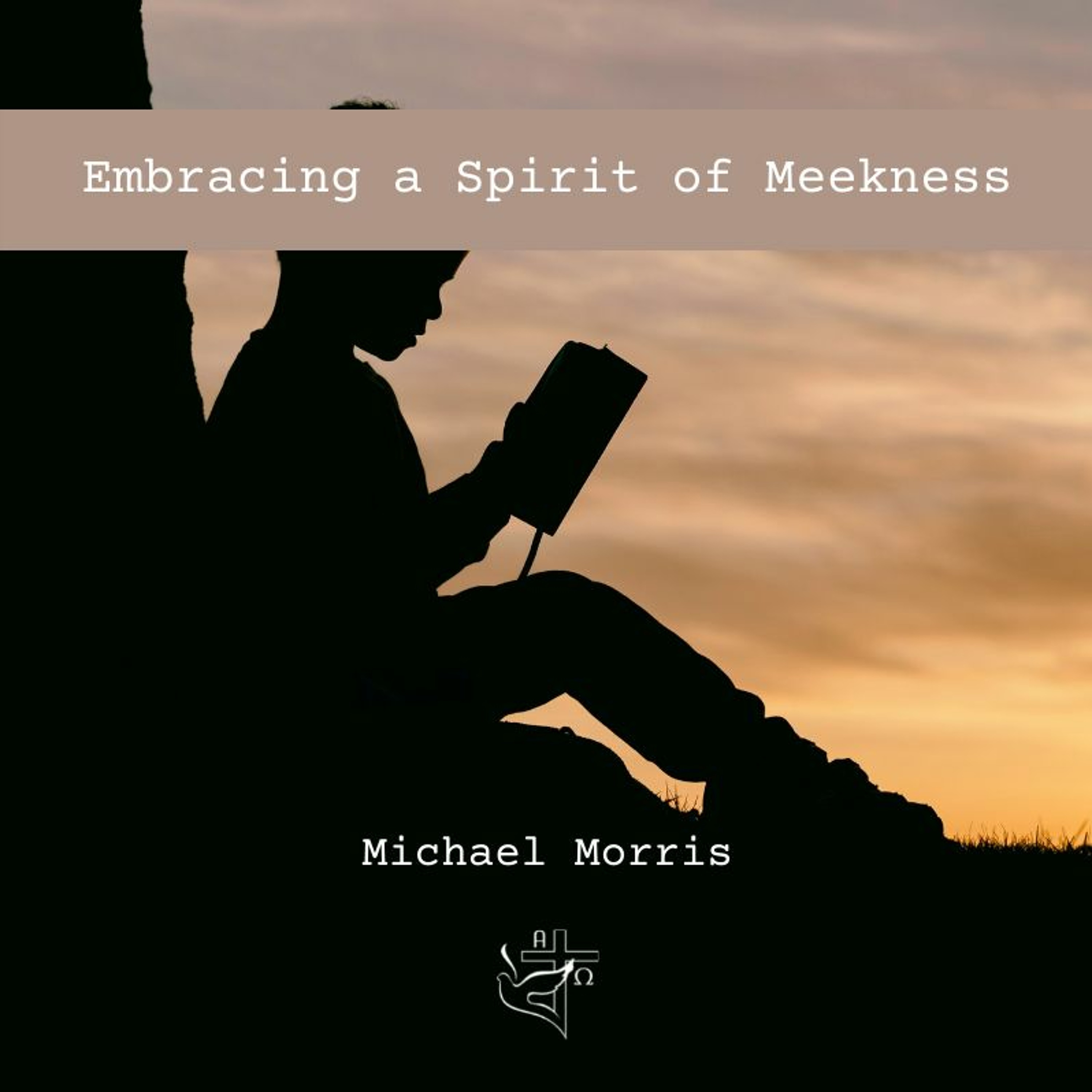 Embracing a Spirit of Meekness episode artwork