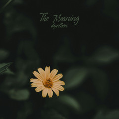 The Meaning