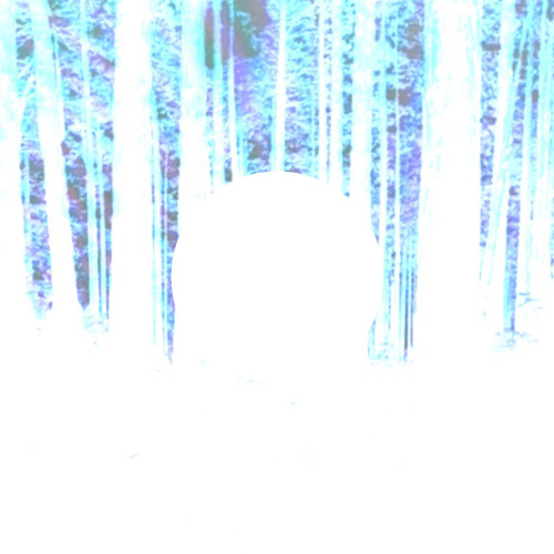 Plain White