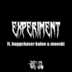 EXPERIMENT