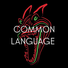 COMMON LANGUAGE .....NICKS HIP HOP MIX TAPE MARCH 25
