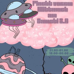 XaMaX - FVMAS - closing