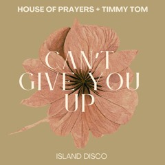 Can't Give You Up (Original Mix)