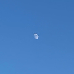 drone_2807