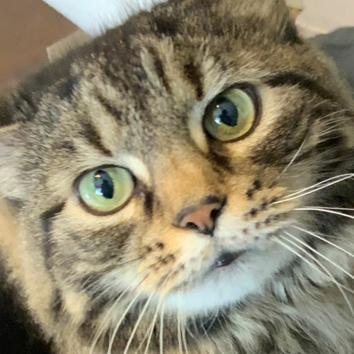 disconnecting (intro)