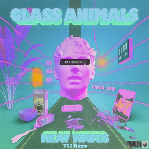 Glass Animals - Heat Waves (T12 Remix)
