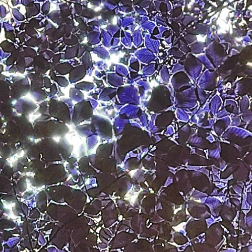 κάδμιο κενό (feat. mon)