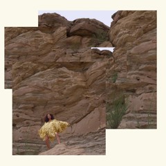 cranes_housefloraedit