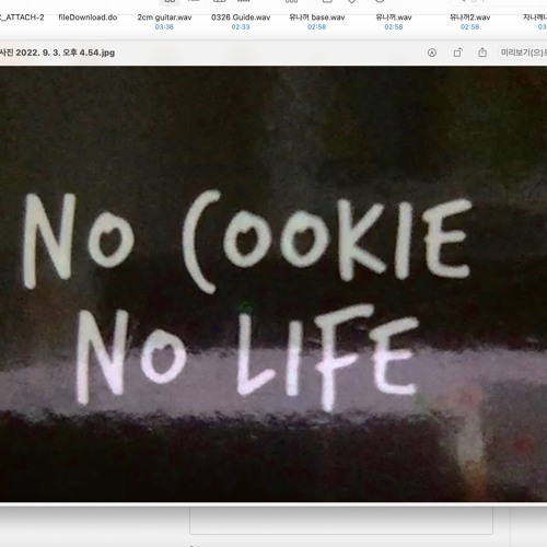 뉴진스 NewJeans - cookie 쿠키 (cover)