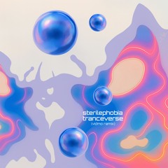 Tranceverse (VIDMO Remix)