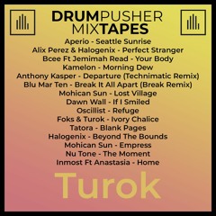 MixTape (Turok)