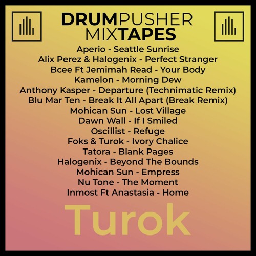 MixTape (Turok)