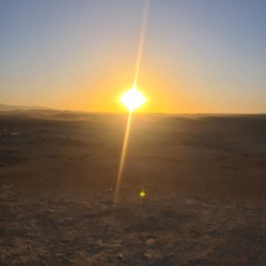 Nothing Left to Sacrifice.