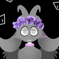 V† X † CΛIN † MEME