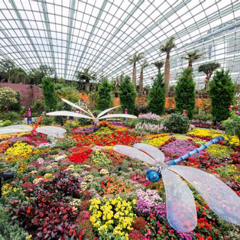 Review Special Price Gardens By The Bay Flower Dome Cloud Forest