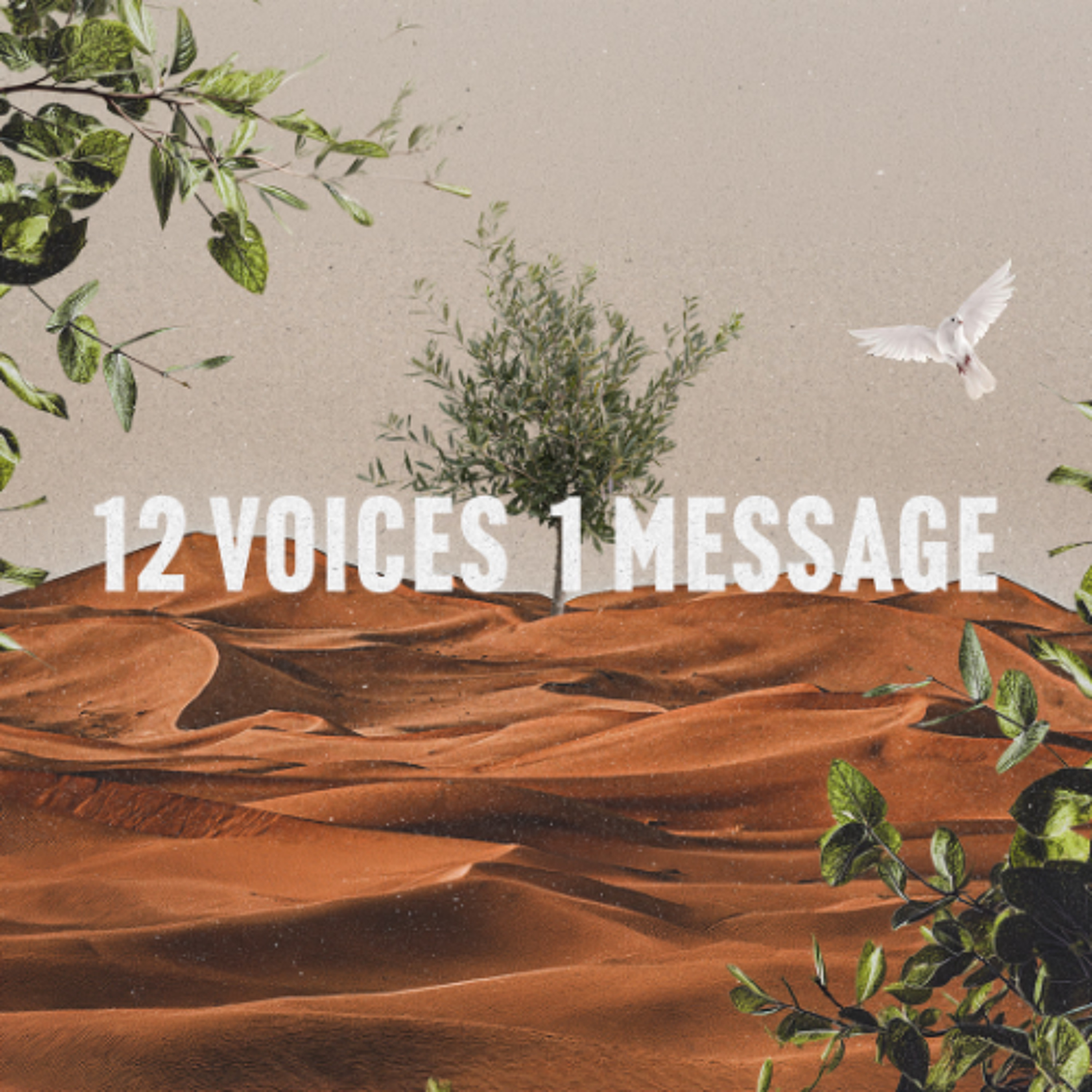Amos: When Worship is Not Enough // Brandi Hafler episode artwork